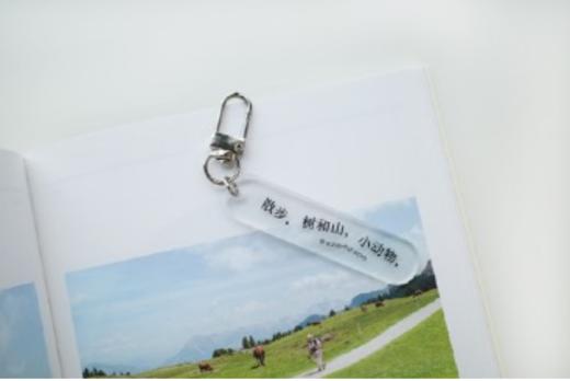 山浮士多丨亚克力钥匙扣挂件 商品图2
