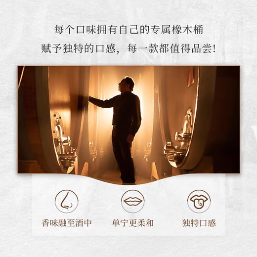 智利进口赤龙狄珍藏梅洛红葡萄酒750ml 商品图2