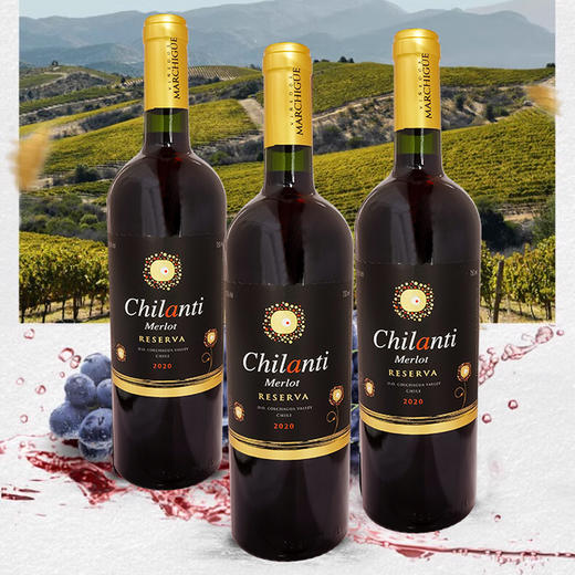 智利进口赤龙狄珍藏梅洛红葡萄酒750ml 商品图1