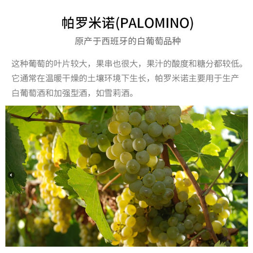 西班牙进口何塞贵族—欧罗索特酿雪莉葡萄酒750ml 商品图2