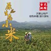 原生态沂蒙山小米 新小米 原始石磨碾制 商品缩略图1