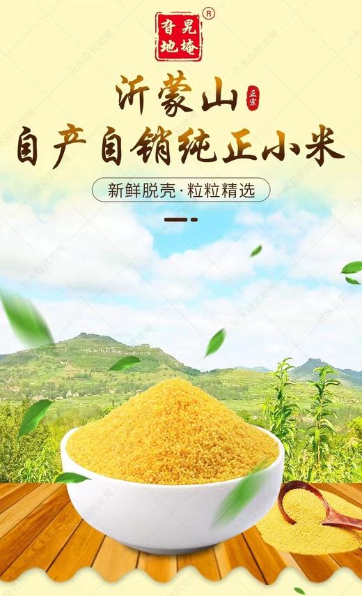 原生态沂蒙山小米 新小米 原始石磨碾制 商品图3