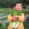 生态大白菜 | 绿家自产*Ecological Chinese cabbage | In-House Production 商品缩略图0