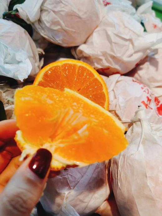 甘平丑橘2斤 商品图0