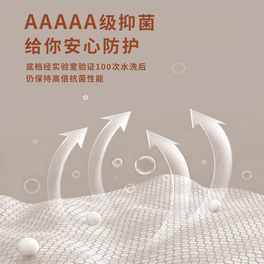 【99元拍3条】80S匹马棉男士内裤纯棉四角裤无痕抗菌平角裤(贴身衣物无质量问题不退换）H241271258 商品图3