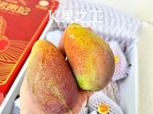 三亚✈️树熟贵妃芒🥭 商品图8