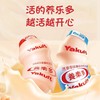 Yakult养乐多活性乳酸菌饮品原味100ml/瓶原味营养益生菌 商品缩略图0