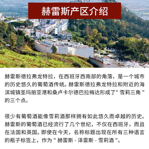 西班牙进口天籁阿蒙蒂亚特酿雪莉葡萄酒750ml 商品图3