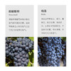 西班牙进口帕奇橡木桶干红葡萄酒750ml 商品缩略图5