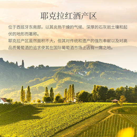 西班牙进口百老侯-慕娜斯特干红葡萄酒750ml 商品图4