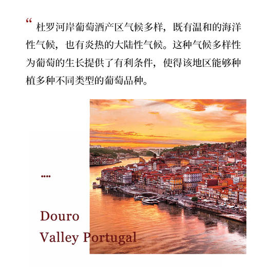 西班牙进口甘地果2014红葡萄酒750ml 商品图1