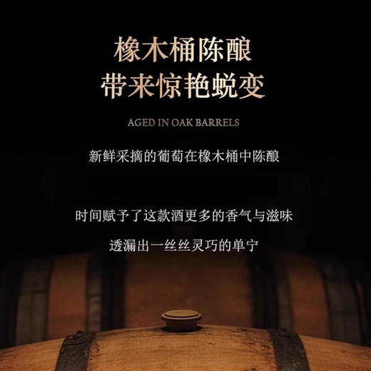 智利进口赤龙狄珍藏赤霞珠干红葡萄酒750ml 商品图3