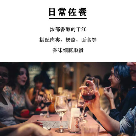 西班牙进口百老侯-慕娜斯特干红葡萄酒750ml 商品图3