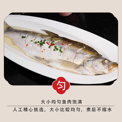 大白鱼(翘嘴白鱼)500-600g/条 商品图4