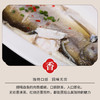 大白鱼(翘嘴白鱼)500-600g/条 商品缩略图3