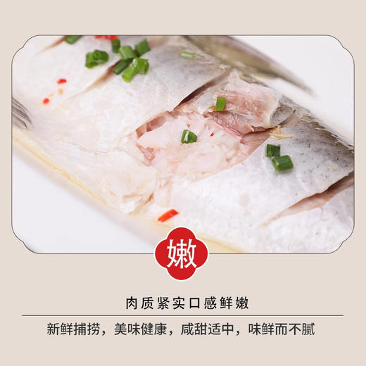 大白鱼(翘嘴白鱼)500-600g/条 商品图5