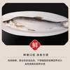 大白鱼(翘嘴白鱼)500-600g/条 商品缩略图2