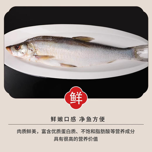 大白鱼(翘嘴白鱼)500-600g/条 商品图2