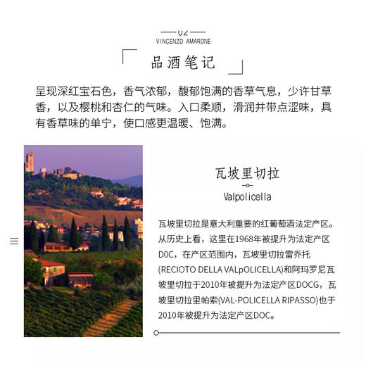 意大利进口恩佐文森阿玛罗尼干红葡萄酒750ml 商品图1