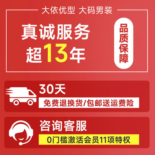 【Q】【V领】【冰丝速干】【DCS】大依优型大码V领短袖T恤加肥加大弹力透气宽松休闲男装半袖上衣 商品图5