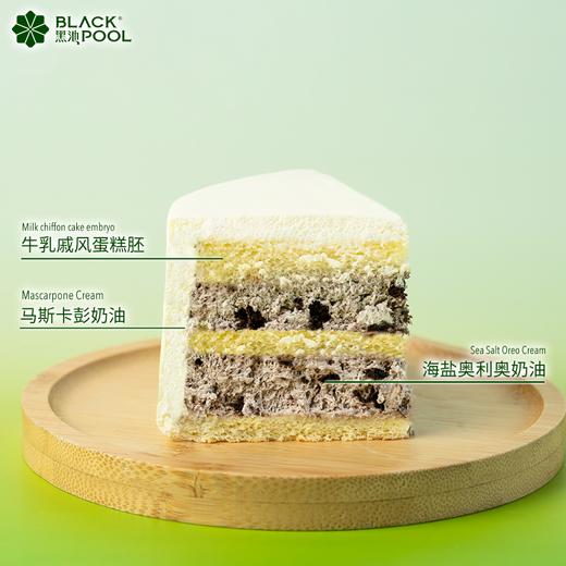 懒趴趴白云熊猫 商品图4