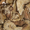 生态当归 | 合作生产 *  Eco-Salvia Miltiorrhiza | Coproduction 商品缩略图2