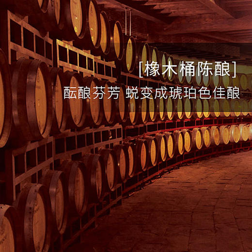 法国进口马尔堡XO白兰地70cl 40%Vol. 商品图1