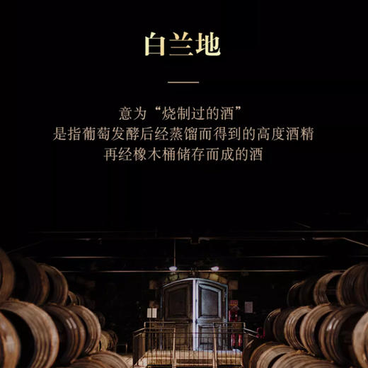 法国进口路易名仕 XO白兰地 700ml 40%Vol. 商品图3