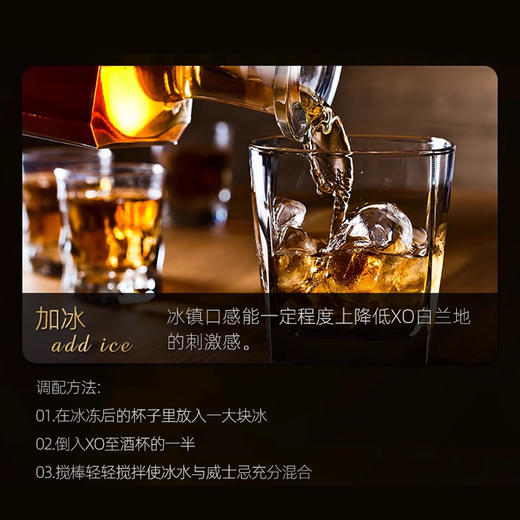 法国进口国王路易十五 XO白兰地 3L 40%Vol. 商品图4