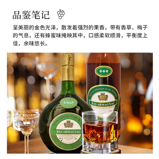 法国进口凯歌拉封丹智者VSOP雅文邑白兰地丨雅文邑白兰地 700ml-1L 商品图3