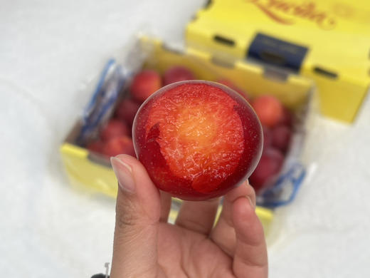 智利樱桃李，珍贵品种，每年季节超短，且货源稀缺，十分抢手，它是传统李子和樱桃的结合，既拥有浓郁的李子味，又拥有樱桃多汁，超级好吃！ 商品图1