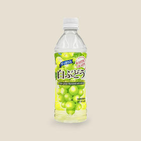 三佳利白葡萄果味饮料500ml