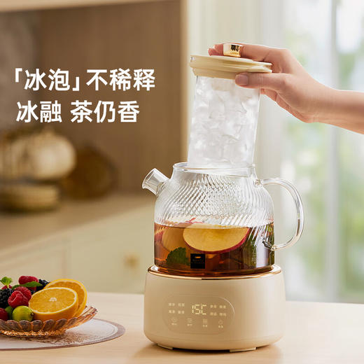 【康宁养生壶】全玻璃家用多功能小型办公室新款煮茶器烧水壶花茶壶炖 商品图0