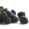 Driscoll's黑莓（125g） 商品缩略图1