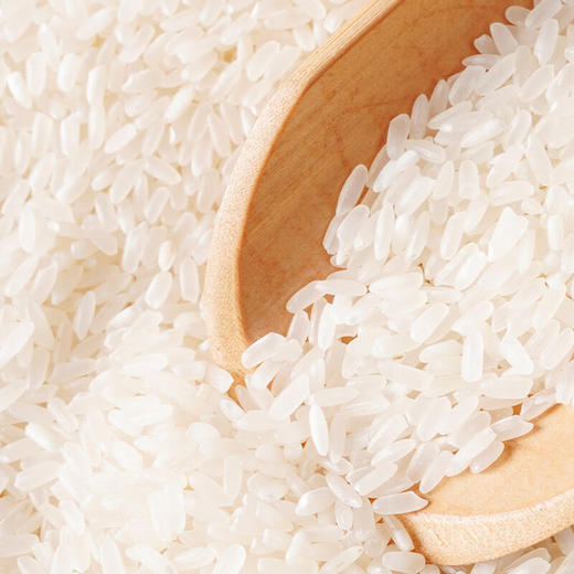 财兴五常大米10kg/袋 商品图4