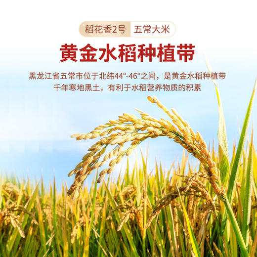 财兴五常大米10kg/袋 商品图5