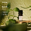 「莫吉托」植物香薰精油 商品缩略图0