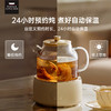 【康宁养生壶】全玻璃家用多功能小型办公室新款煮茶器烧水壶花茶壶炖 商品缩略图1
