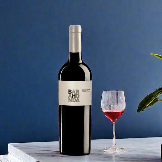 西班牙进口百老侯克里安2014干红葡萄酒750ml 商品图5