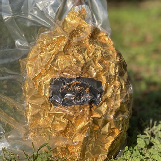 帝一榴猫山王液氮冷冻榴莲 商品图0