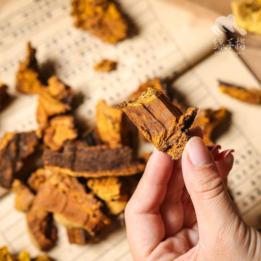 野生西藏桑黄 | 合作生产* Wild Sanghuang| Coproduction 商品图1