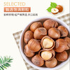 清香榛子450~900±10g 商品缩略图0