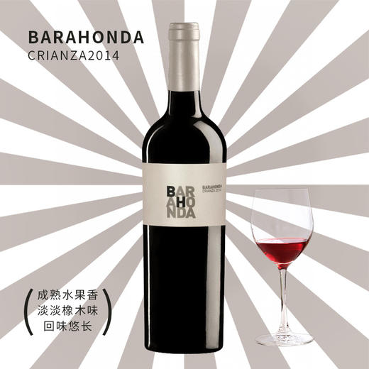 西班牙进口百老侯克里安2014干红葡萄酒750ml 商品图3