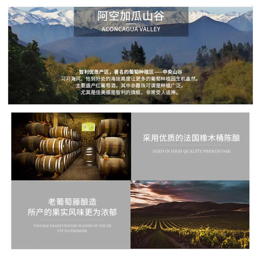 西班牙进口赤龙狄佳美娜红葡萄酒750ml 商品图3