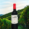 西班牙进口华伦天使干红葡萄酒750ml 商品缩略图2
