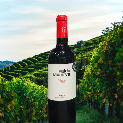 西班牙进口华伦天使干红葡萄酒750ml 商品图2