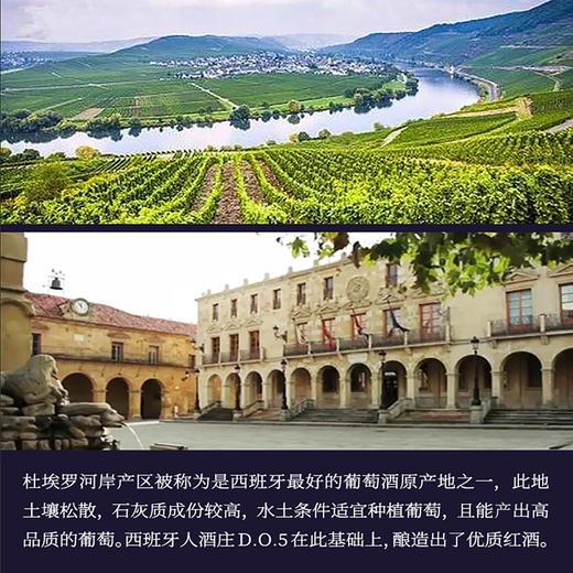 西班牙进口12家族珍藏干红葡萄酒750ml 商品图2