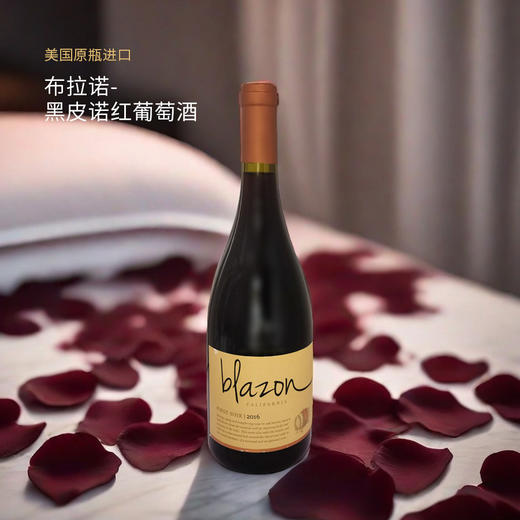 美国进口布拉诺黑皮诺红葡萄酒750ml 商品图0