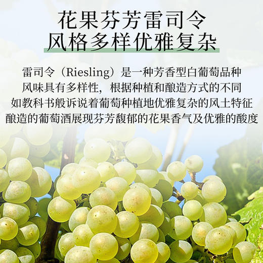澳大利亚进口威卡菲庄园雷司令白葡萄酒750ml 商品图3