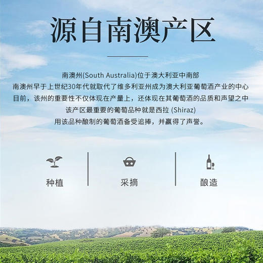 澳大利亚进口袋鼠公主西拉干红葡萄酒5L 商品图3